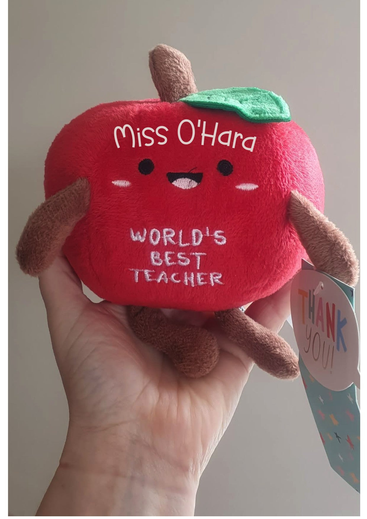 Personalised Worlds Best Teacher Plushie